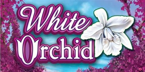 white orchid slots